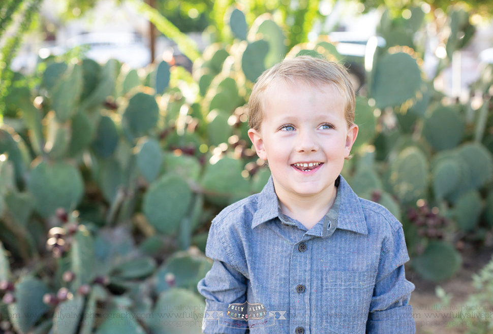 Holiday Mini Sessions Fully Alive Photography Finley