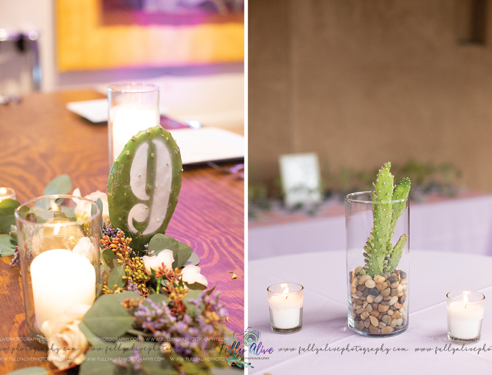 The Perfect Arizona Venue A Desert Botanical Garden Wedding