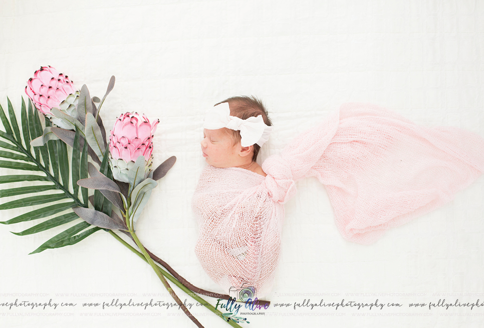 Welcome To The World Tiny Baby Girl Phoenix Newborn Photography