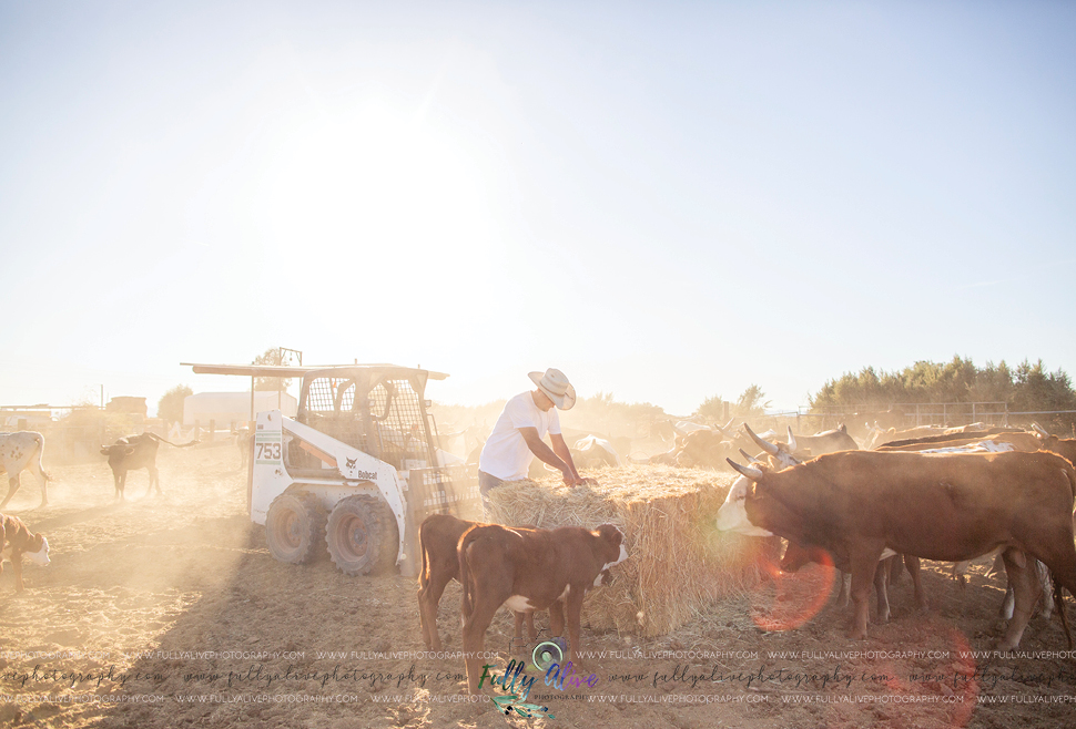 Editorial Content For Farm Credit West Willow Ranch In Parker Az