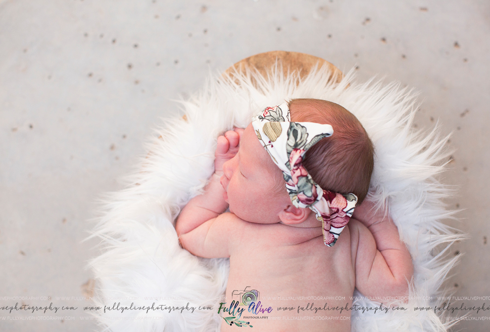 All The Beautiful Babies Newborn EvelynFullyAlivePhotography2020