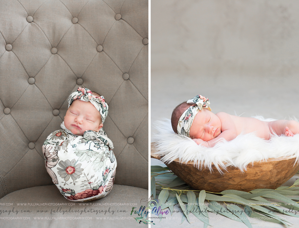 All The Beautiful Babies Newborn EvelynFullyAlivePhotography2020