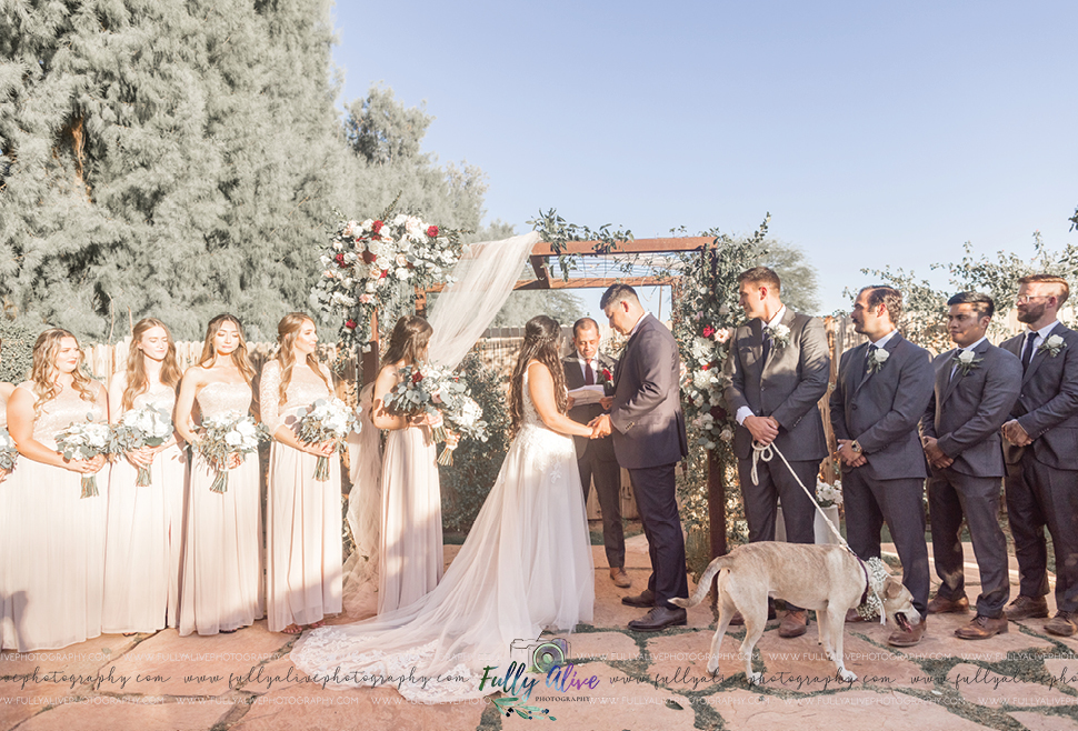 All In One Wedding Photography and Planning A Farm At South Mountain Wedding by Fully Alive Photography