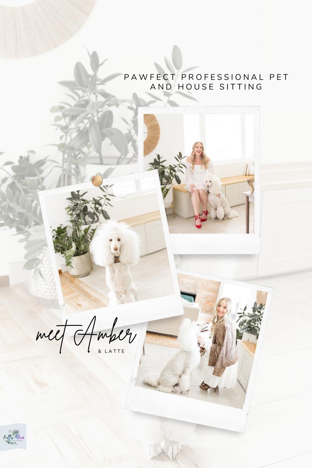 Meet Amber Of Pawfect Professional Pet and House Sitting